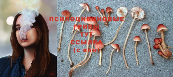 СК Беслан