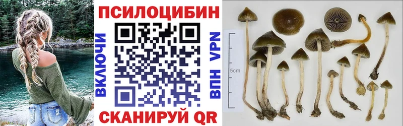 как найти закладки  Ликино-Дулёво  Галлюциногенные грибы прущие грибы 